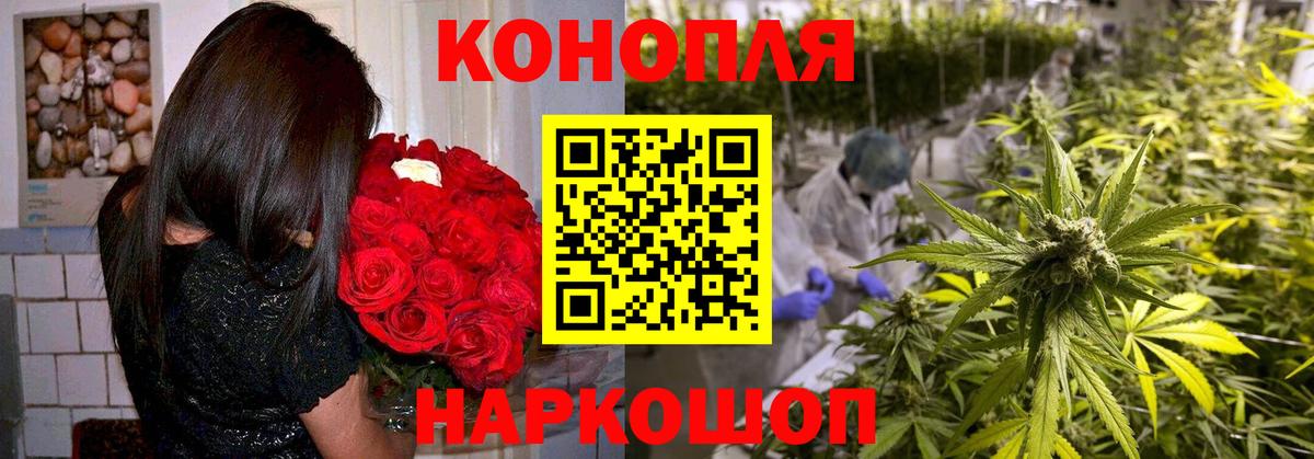 Конопля планчик Медногорск
